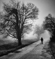 без име ( ID=2572006 ); Коментари:7