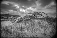 The Fallen; comments:3