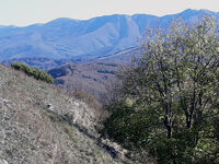 no name ( ID=2572083 ); comments:1