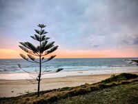 без име ( ID=2572084 ); Коментари:2