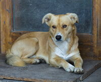 Следпразнична умора; comments:4