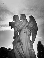 царствата небесни; Коментари:7