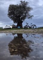 без име ( ID=2572144 ); Коментари:5