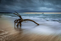 без име ( ID=2572146 ); Коментари:1