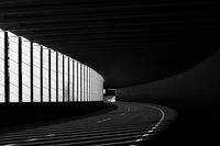 Черно и бяло...; Коментари:19