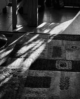 Шарено ЧБ; Коментари:2