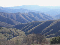 no name ( ID=2572170 ); comments:2