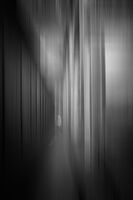 миг на съзерцание; Коментари:18