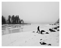 без име ( ID=2572176 ); Коментари:33