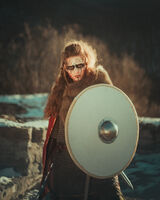 Shield On!; Коментари:1