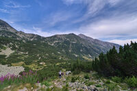 без име ( ID=2572212 ); Коментари:2