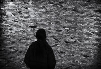 IXTHUS; Коментари:3