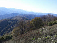 без име ( ID=2572247 ); Коментари:1