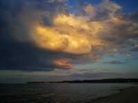 без име ( ID=2572249 ); Коментари:2