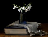 Подранила пролет; Коментари:27