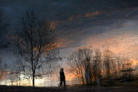 Януари; Коментари:11