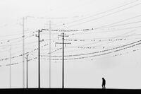 без име ( ID=2572323 ); Коментари:3