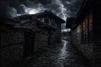 ***; Няма коментари