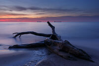 2025-03-11; Коментари:2