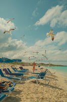 Лято; Коментари:1