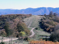 без име ( ID=2572354 ); Коментари:2