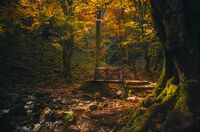 Есенна светлина; Коментари:3