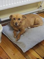 Николета; comments:1