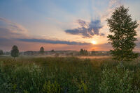 утренний полёт; Коментари:1