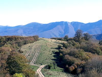 без име ( ID=2572433 ); Коментари:2