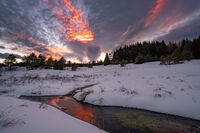 без име ( ID=2572441 ); Коментари:4