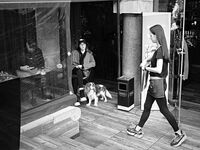 Погледи; Коментари:1