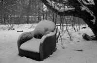 "Самота"; Коментари:1