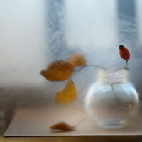 без име ( ID=2572504 ); Коментари:11