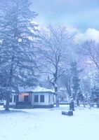 без име ( ID=2572505 ); Коментари:2