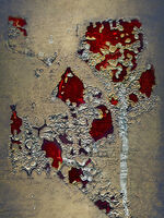 Розов храст; Коментари:19