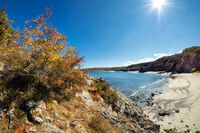 без име ( ID=2572564 ); Коментари:3