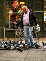 Властелинът на гълъбите; Коментари:2