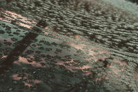 Morning frost; Няма коментари