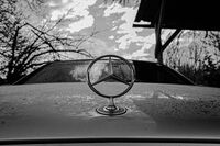 Замръзналия старец; Няма коментари