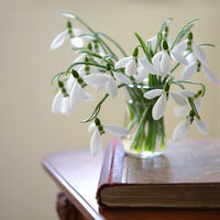 без име ( ID=2572595 ); Коментари:7