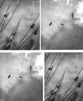 без име ( ID=2572600 ); Коментари:8