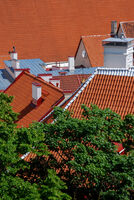 Улицата - Талин; Коментари:2