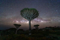 Сокотра; Коментари:2