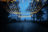 Новогодишно утро; Коментари:1