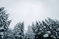 Зимна обстановка; Коментари:3