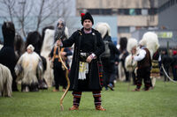 no name ( ID=2572698 ); comments:4