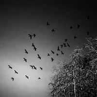 някога, някъде; Коментари:6