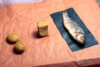 Риба; Коментари:6