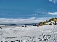 без име ( ID=2572802 ); Коментари:1