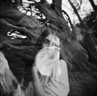 ансу; Няма коментари